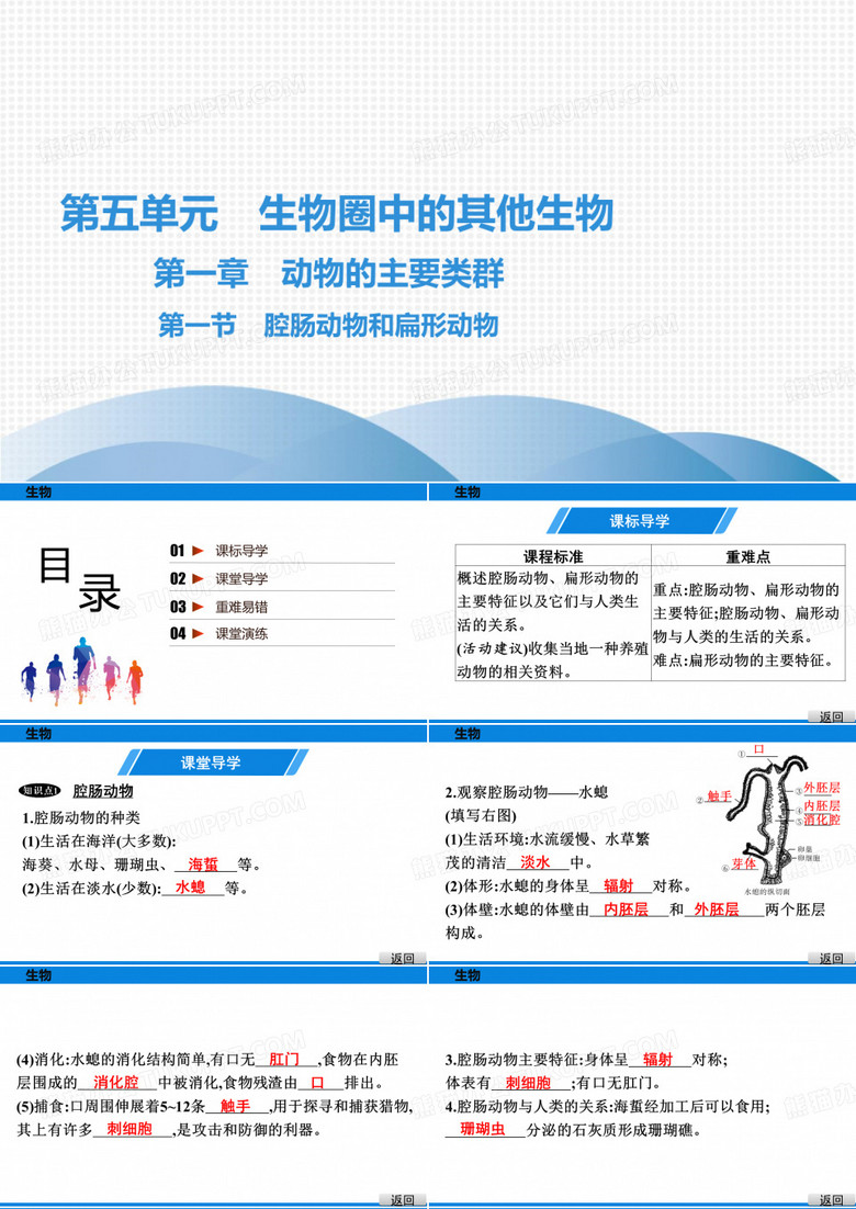 最新人教版八年级上册生物第五单元生物圈中的其他生物第一章动物的主要类群第一节腔肠动物和扁形动物