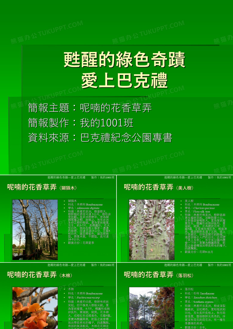 植物类的简报介绍