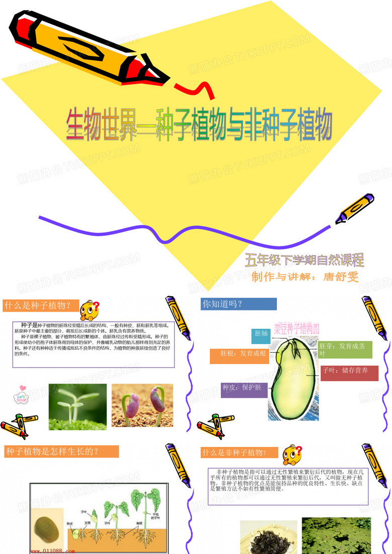 自然课件植物种子与非植物种子