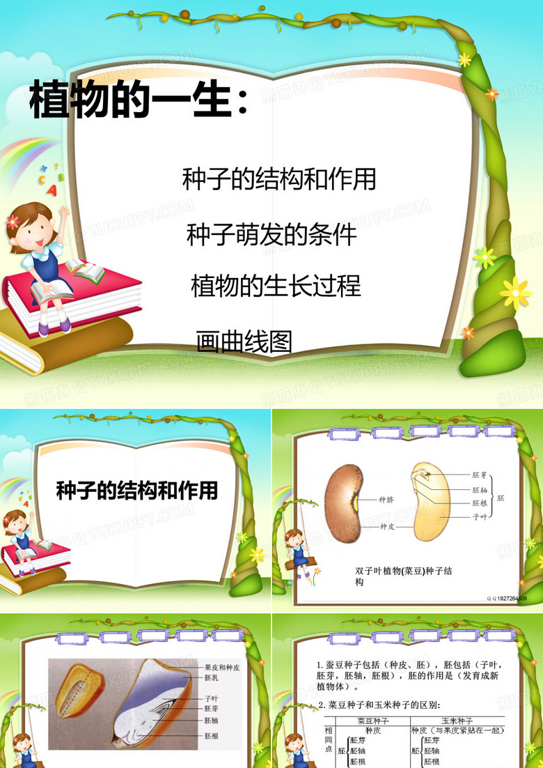 植物种子的一生