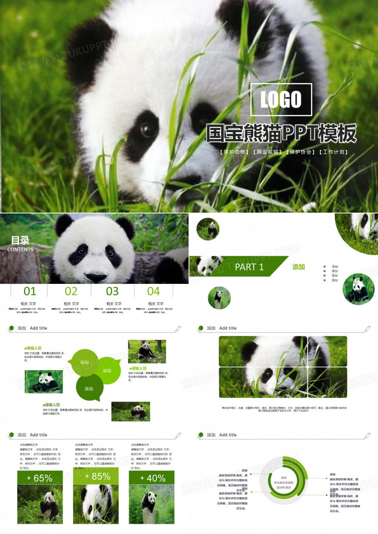 保护动物活动总结国宝熊猫主题工作汇报总结计划经典高端创意PPT模板