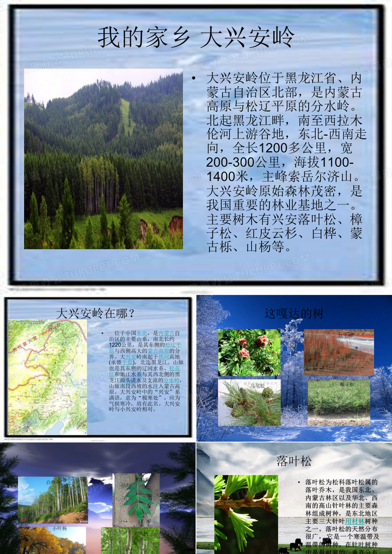 家乡介绍 大兴安岭 PPT