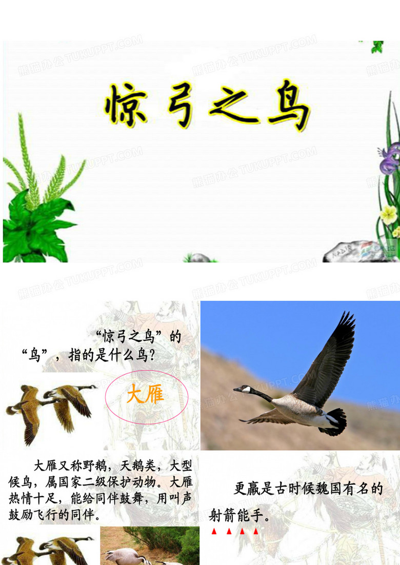 李冉曦--惊弓之鸟 成语故事(1)
