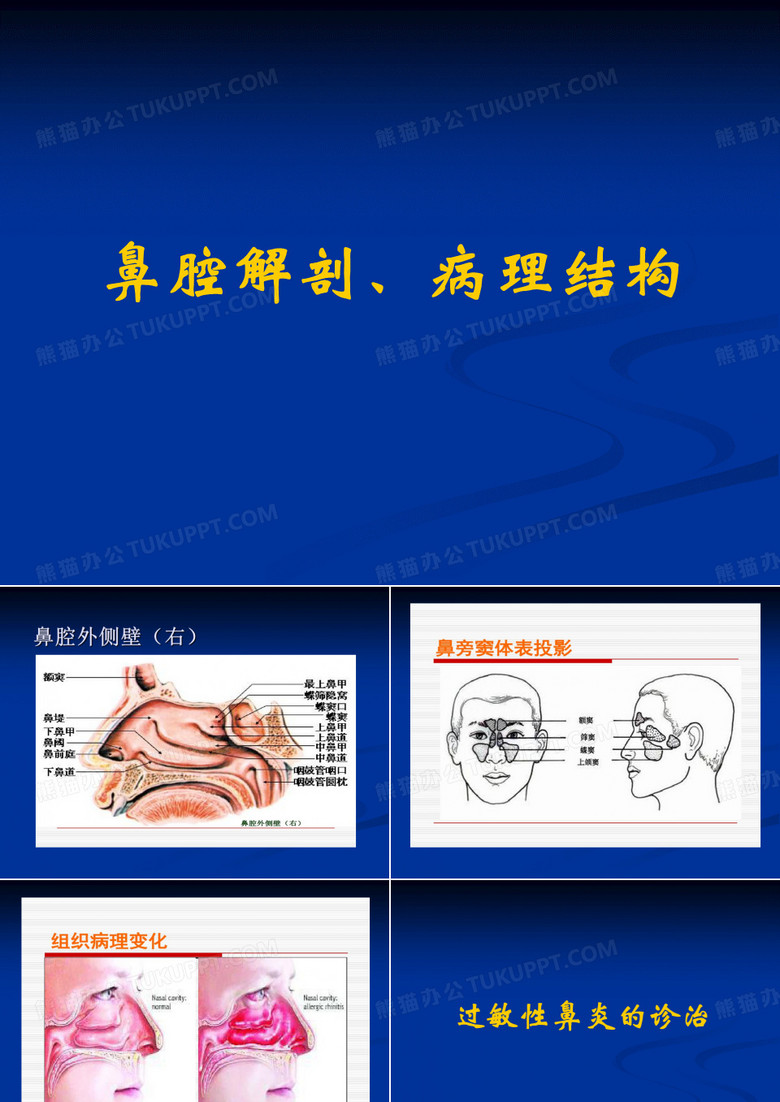 过敏性鼻炎
