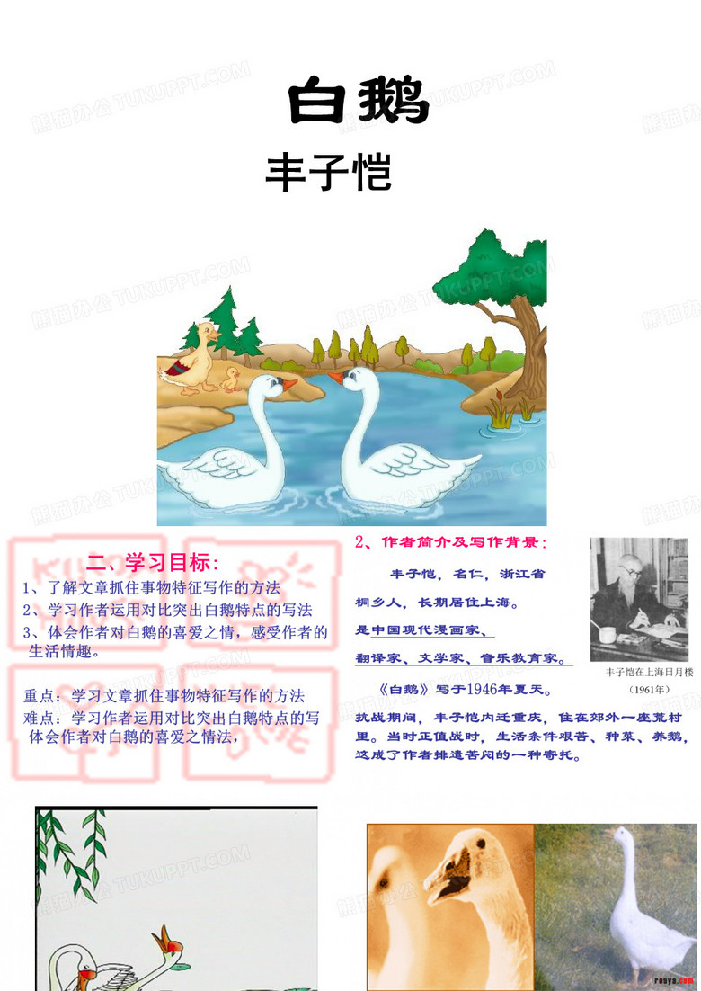 白鹅