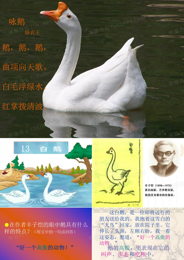白鹅