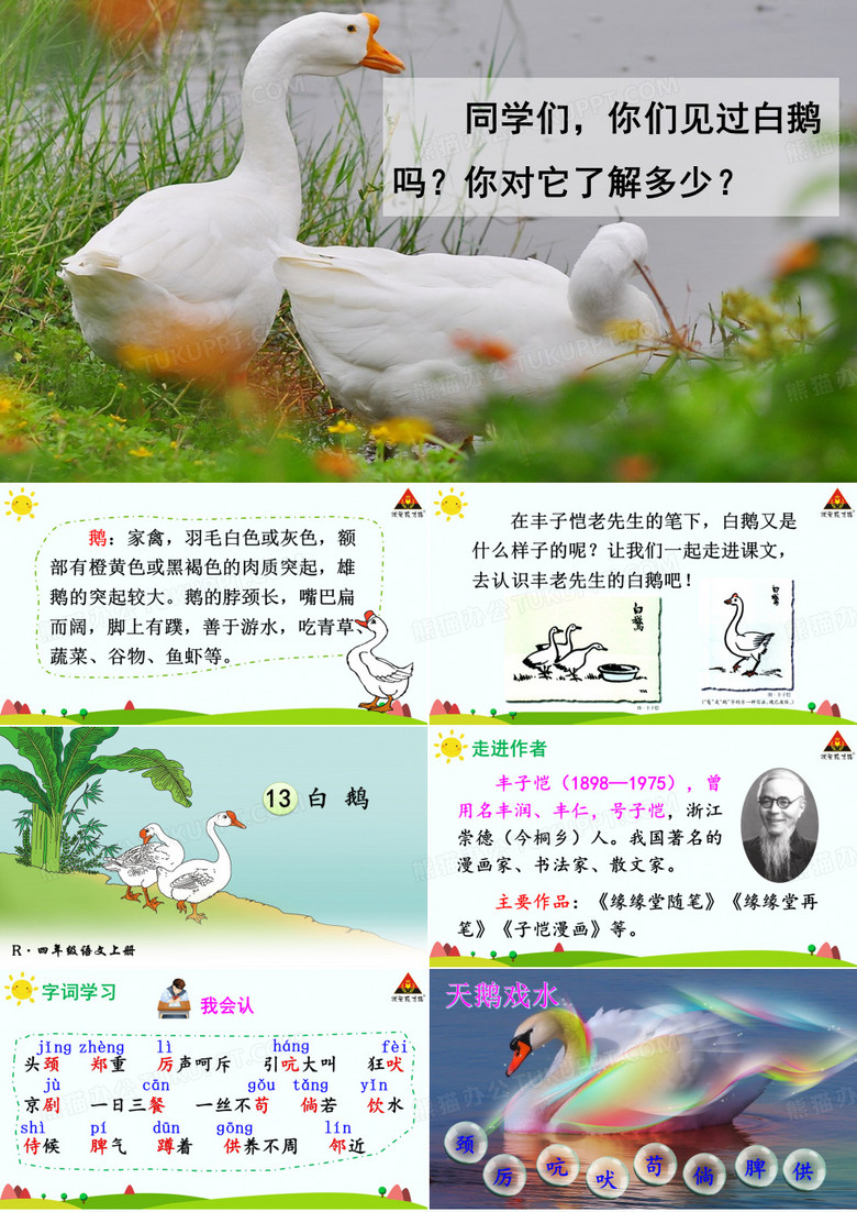 白鹅