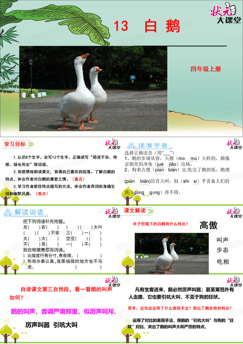 白鹅