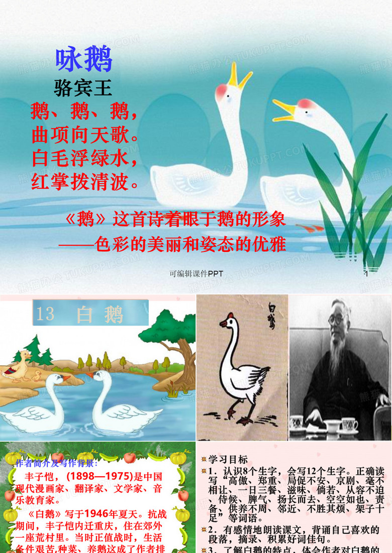 《白鹅》 