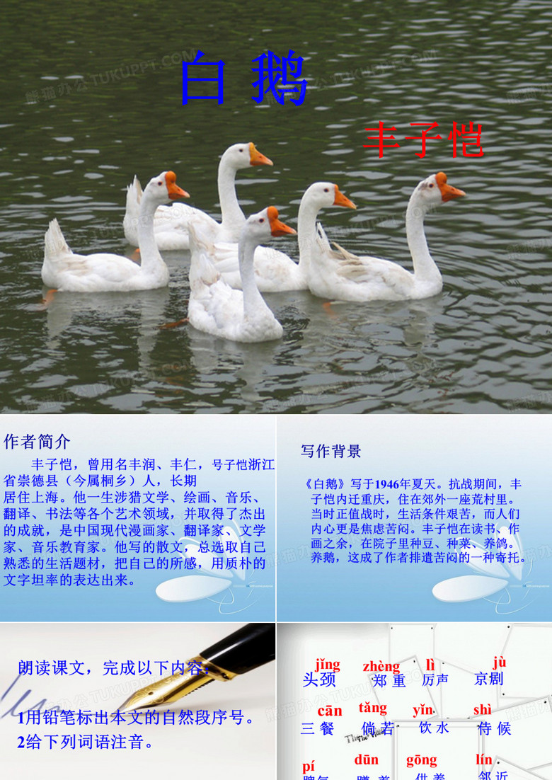 白鹅课件