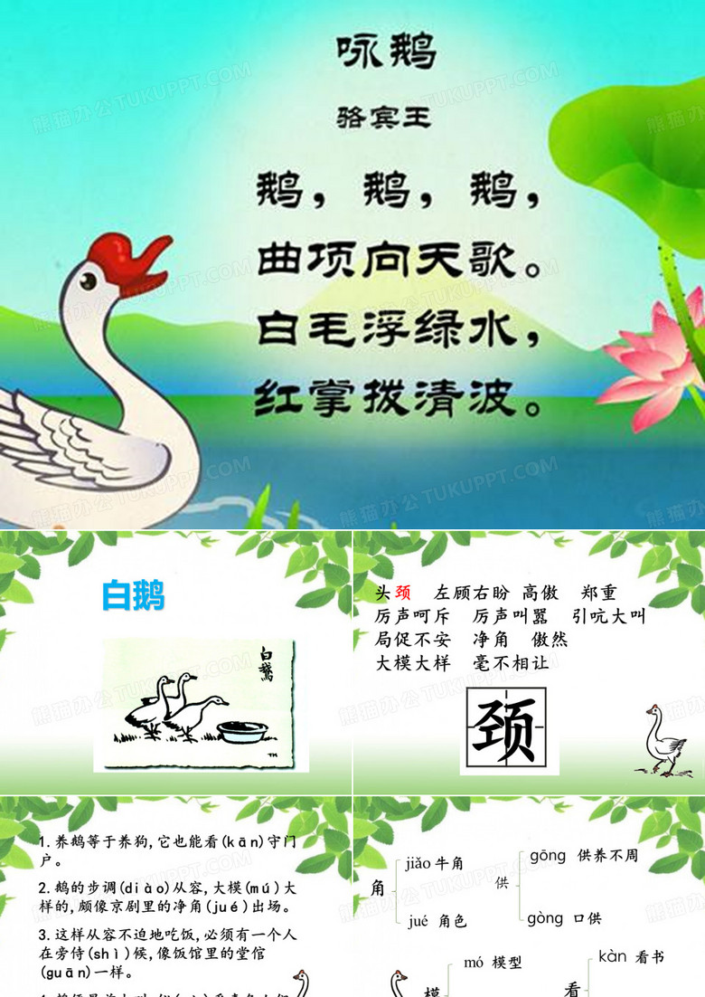 白鹅(公开课)