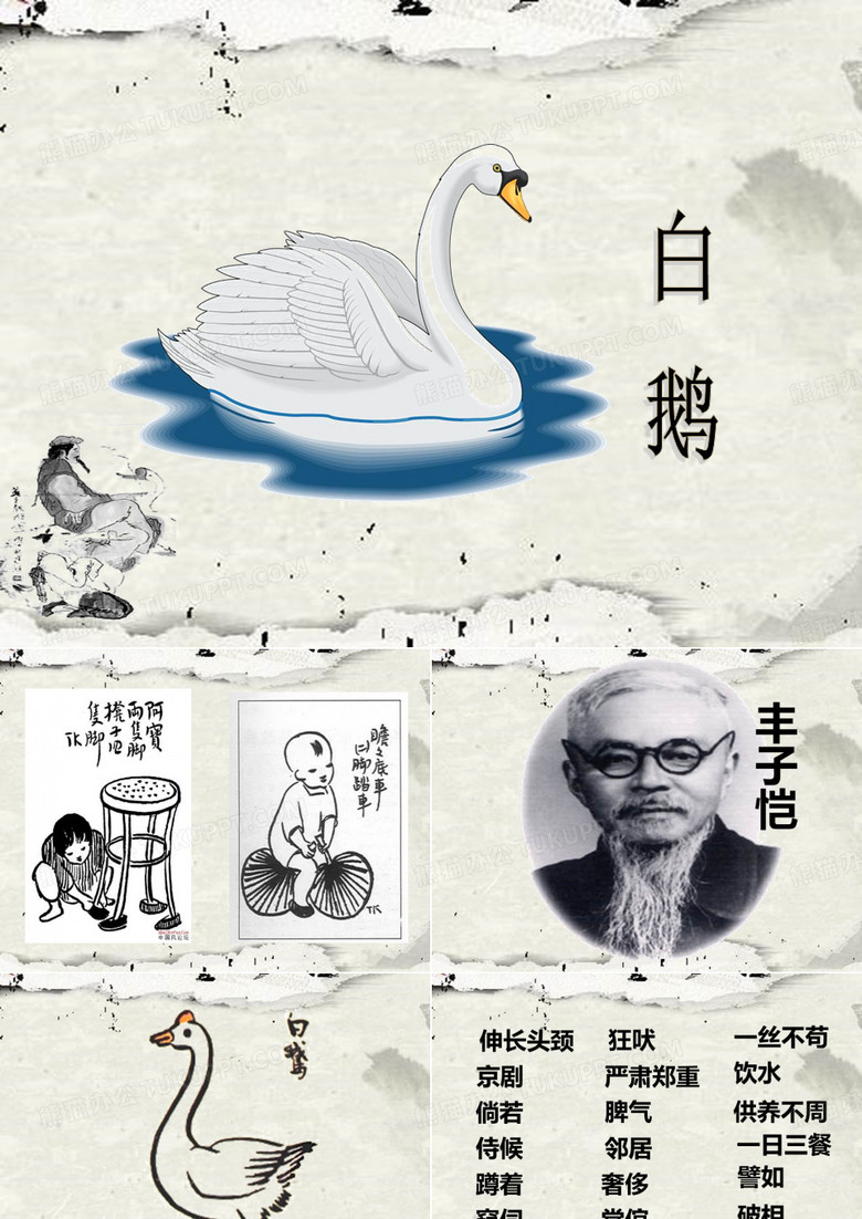 《白鹅》丰子恺
