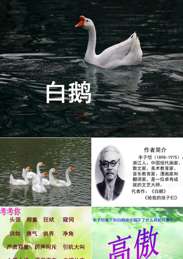白鹅 (课件)