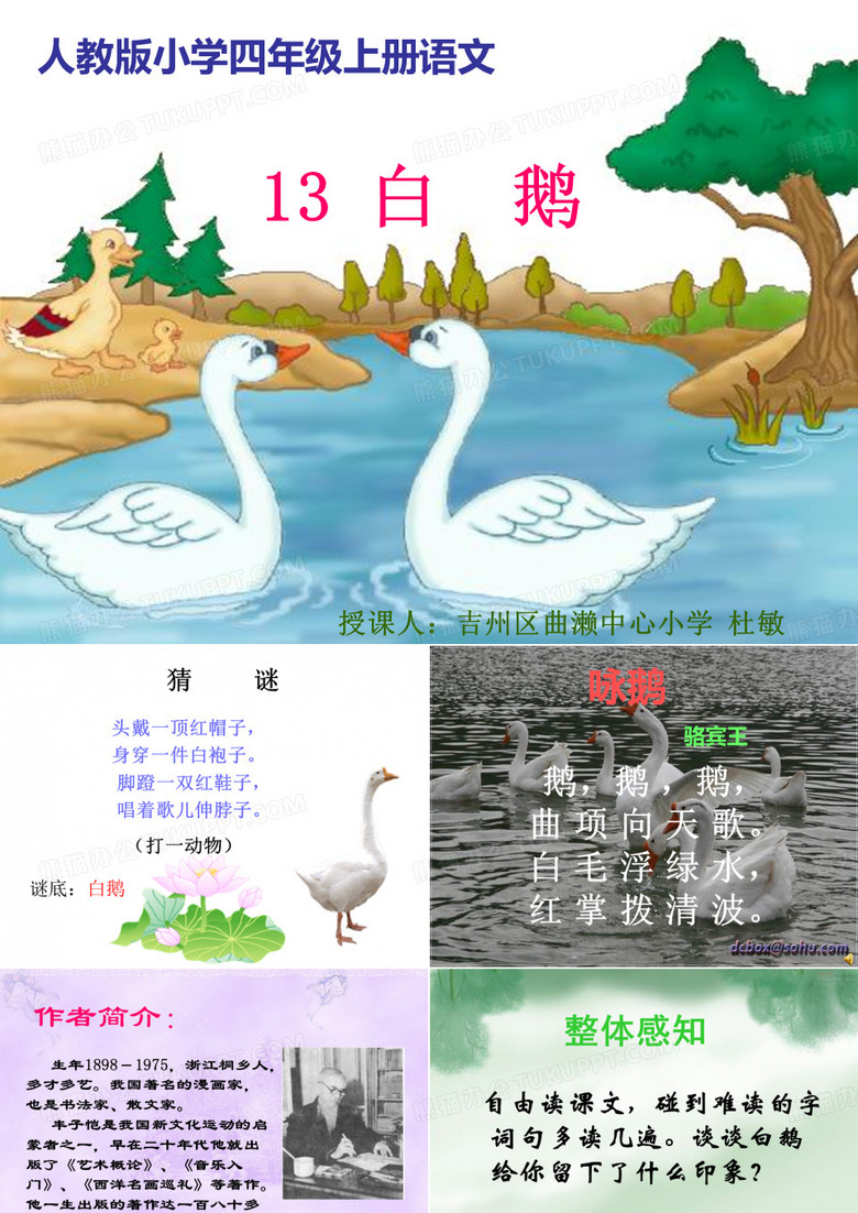 课件：白鹅