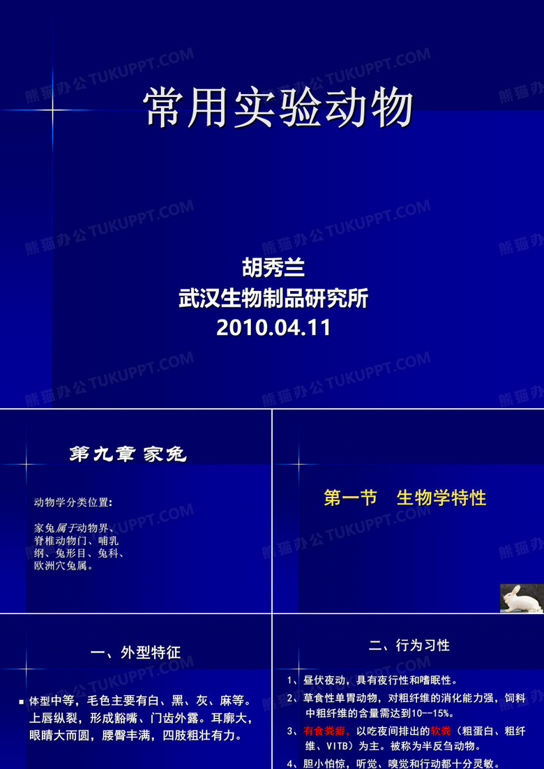 动物实验技术2常用实验动物兔、犬、猴