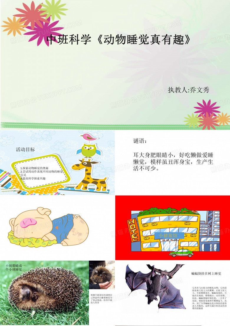 动物睡觉真有趣