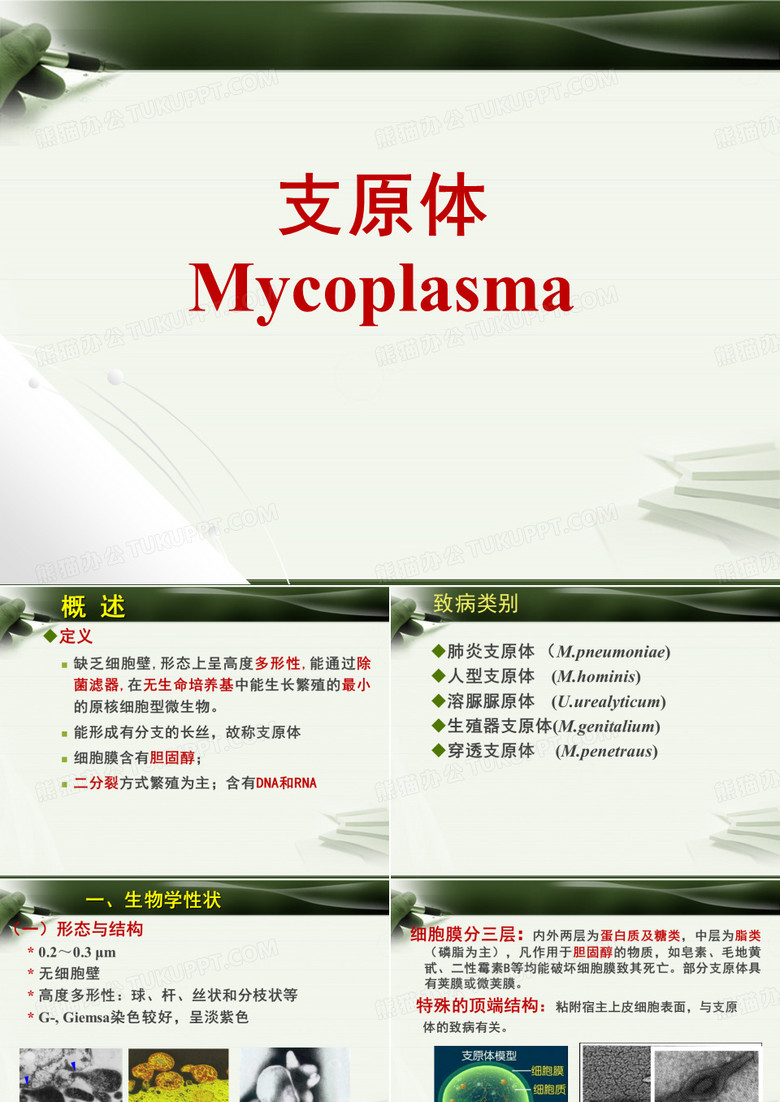 微生物 其他微生物