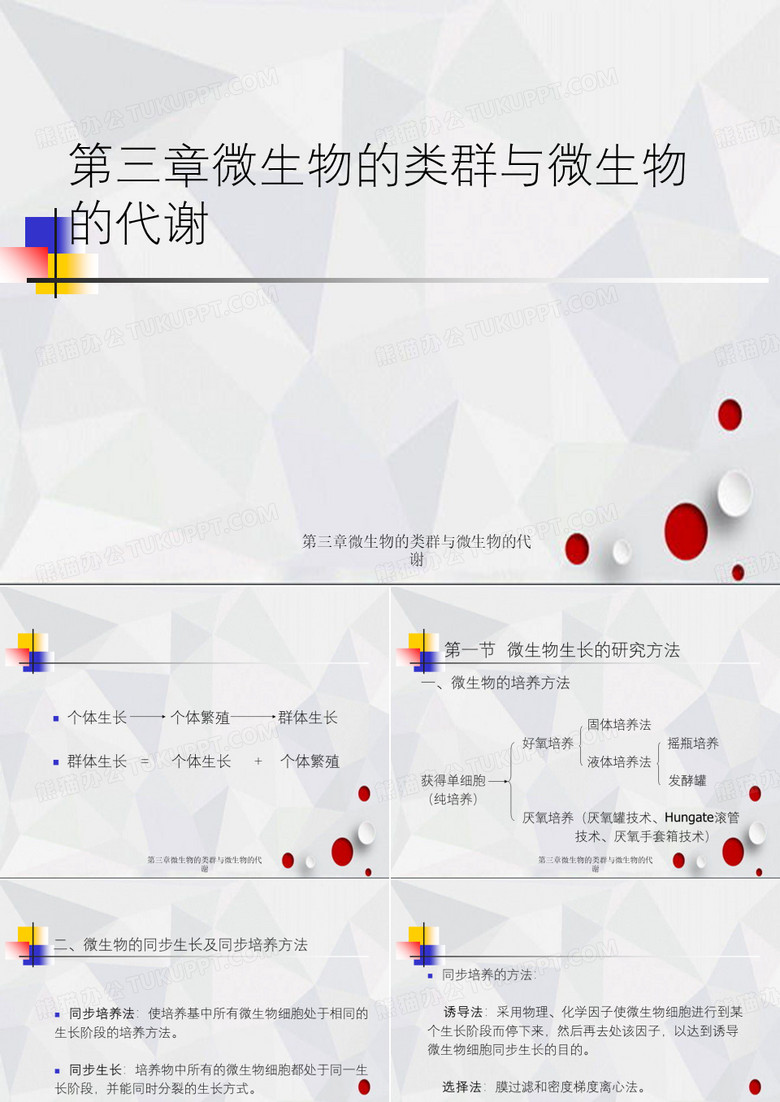 微生物的类群与微生物的代谢