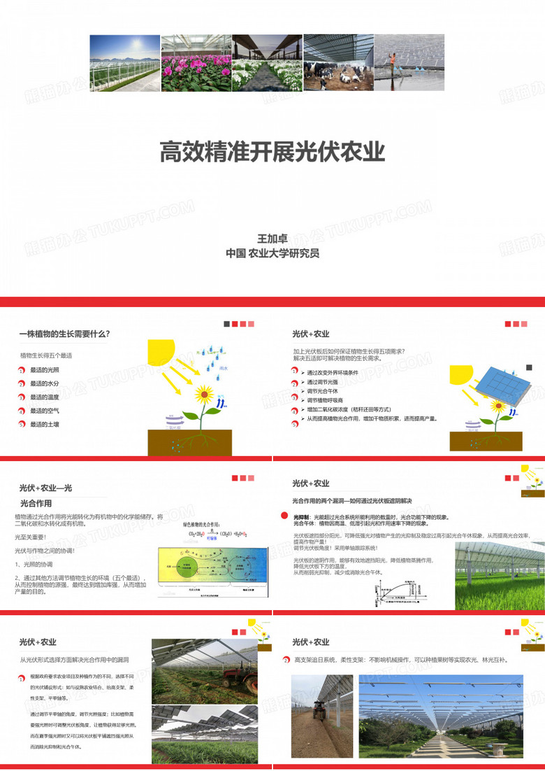 高效精准实施光伏农业