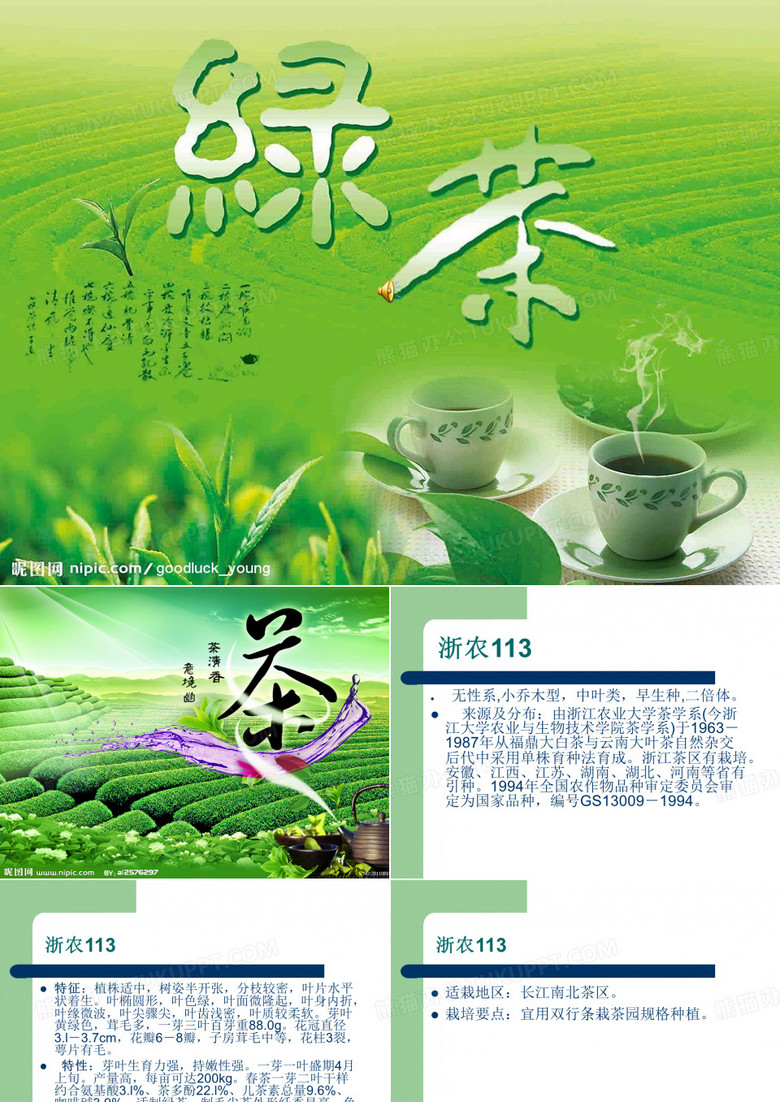 绿茶品种