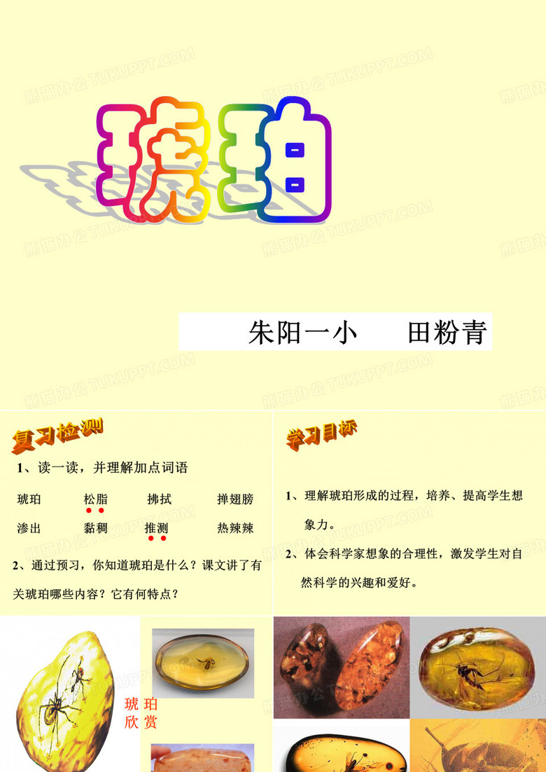 琥珀  ppt