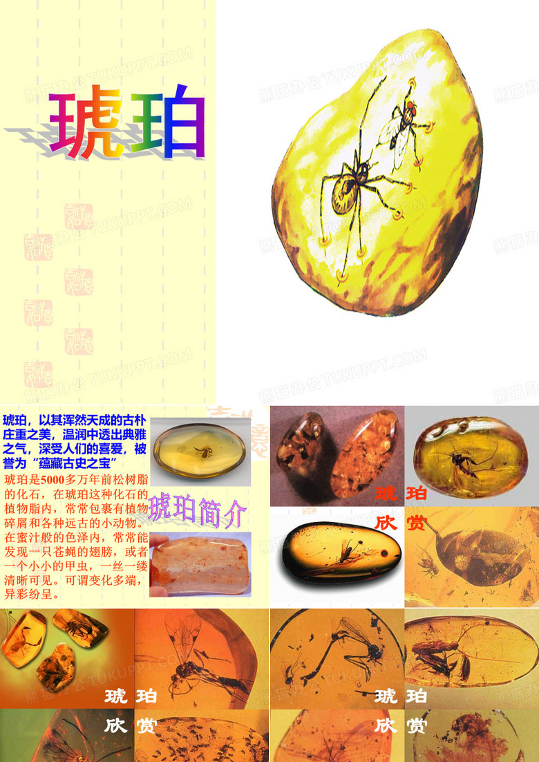 琥珀ppt