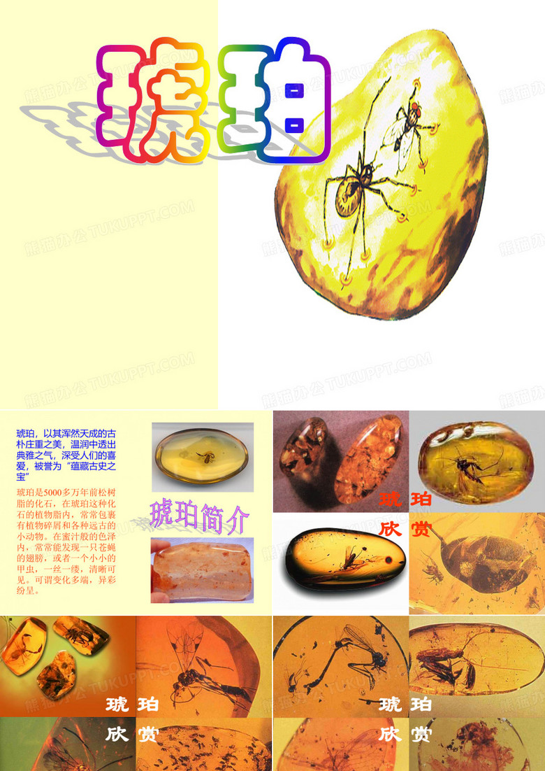 琥珀 (2)