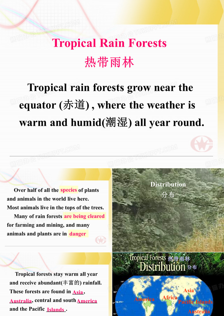 热带雨林资料