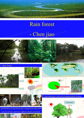 英语_热带雨林