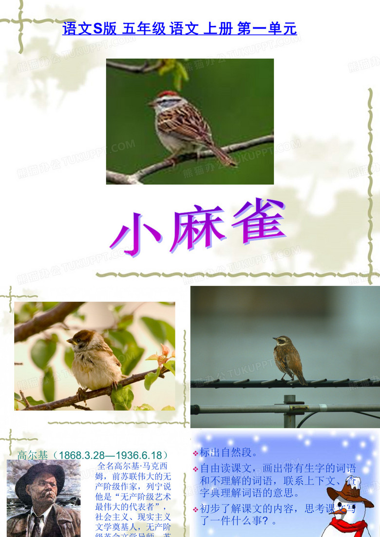 《小麻雀》