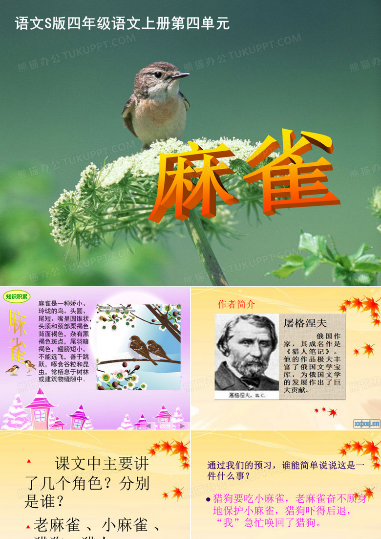 麻雀ppt
