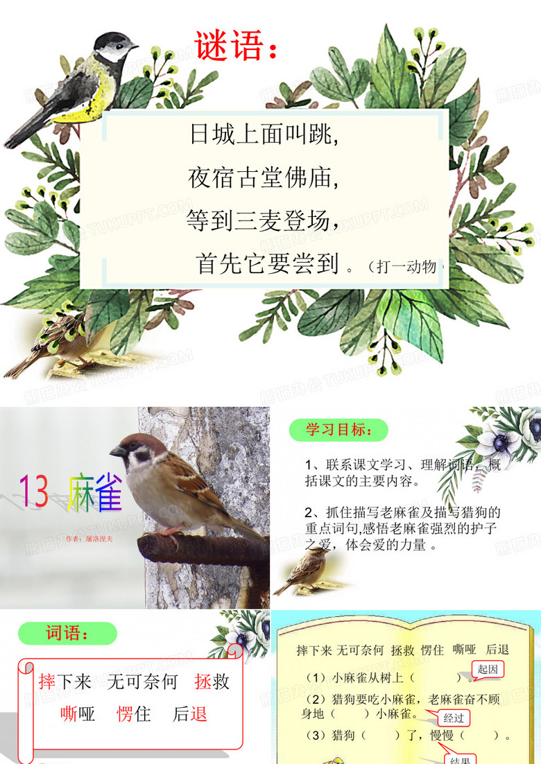 麻雀课件
