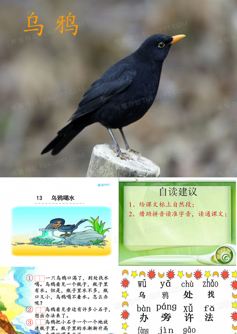 《乌鸦喝水》