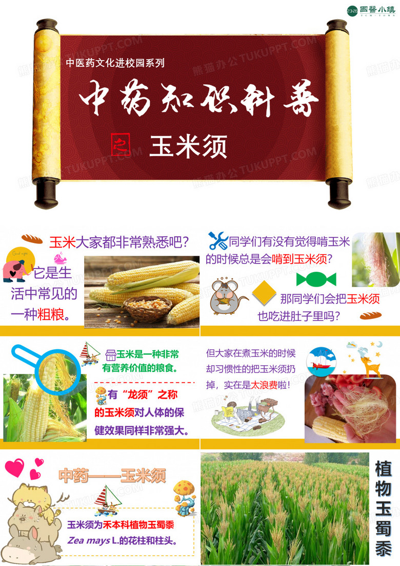玉米须
