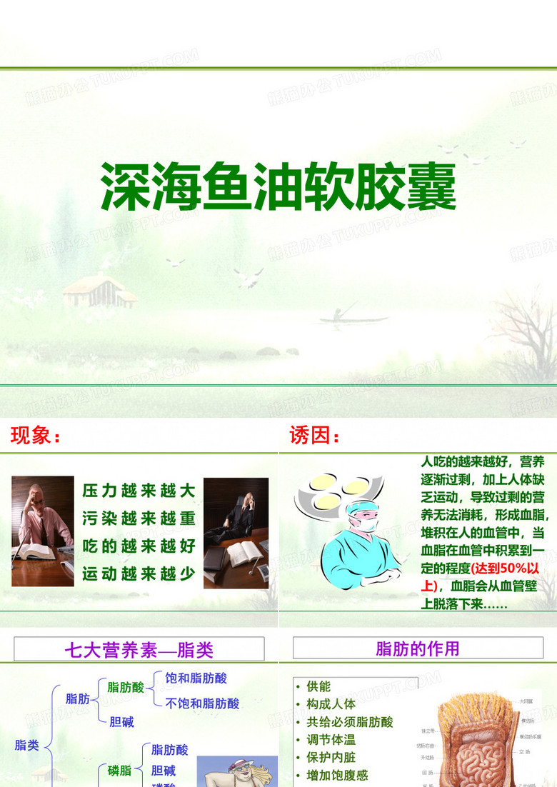 深海鱼油(syt)