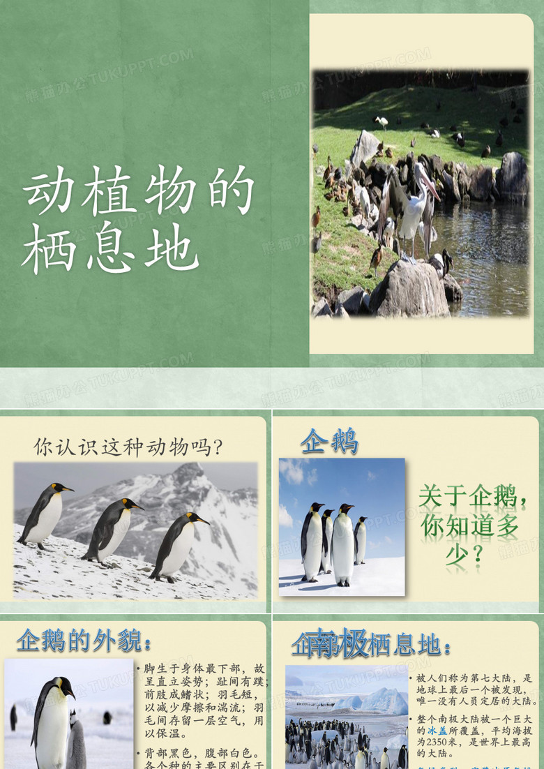 动植物的栖息地