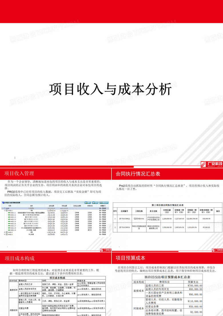 项目收入与成本分析