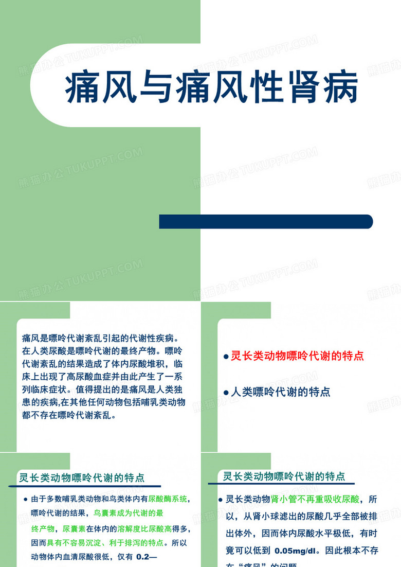 痛风与痛风性肾病