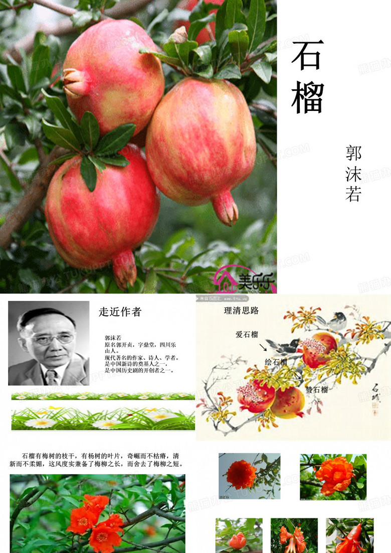石榴PPT