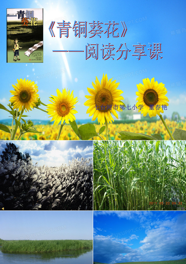 青铜葵花课件