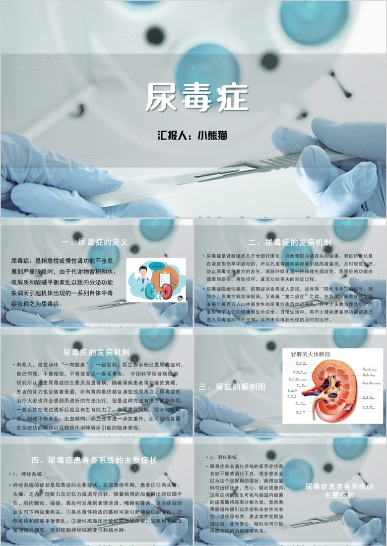 尿毒症知识普及PPT模板