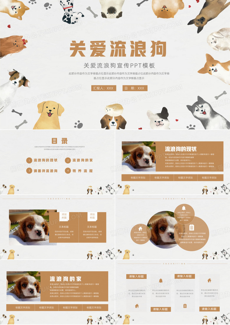 关爱流浪狗关爱流浪动物宣传PPT模板