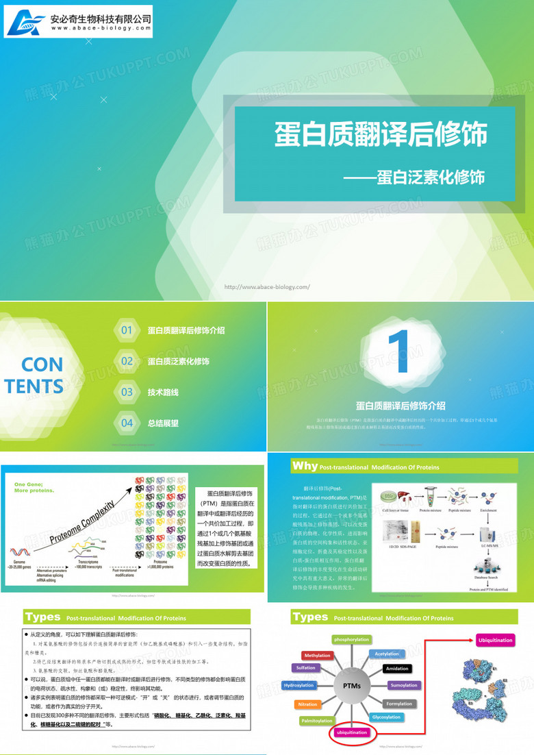 蛋白质泛素化修饰的技术路线