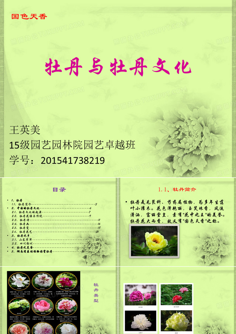 牡丹与牡丹文化