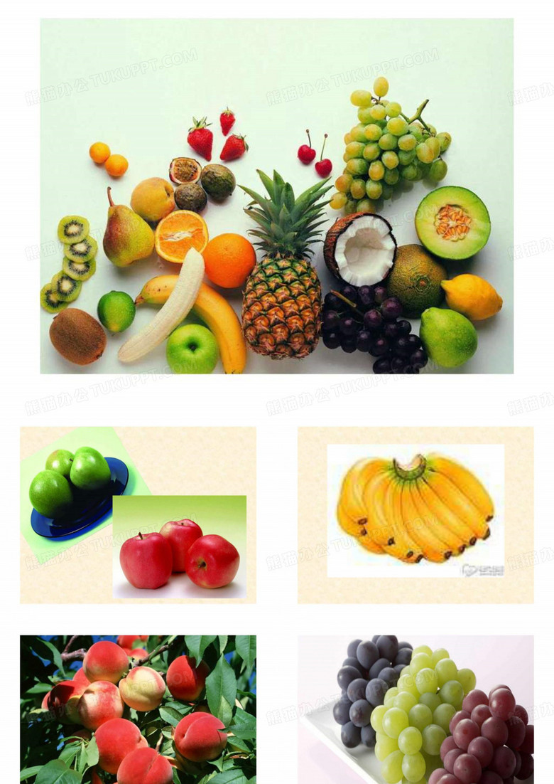 认识各种水果