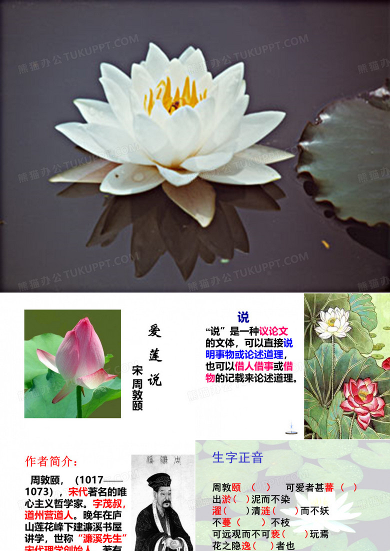 爱莲说.爱莲说(新)