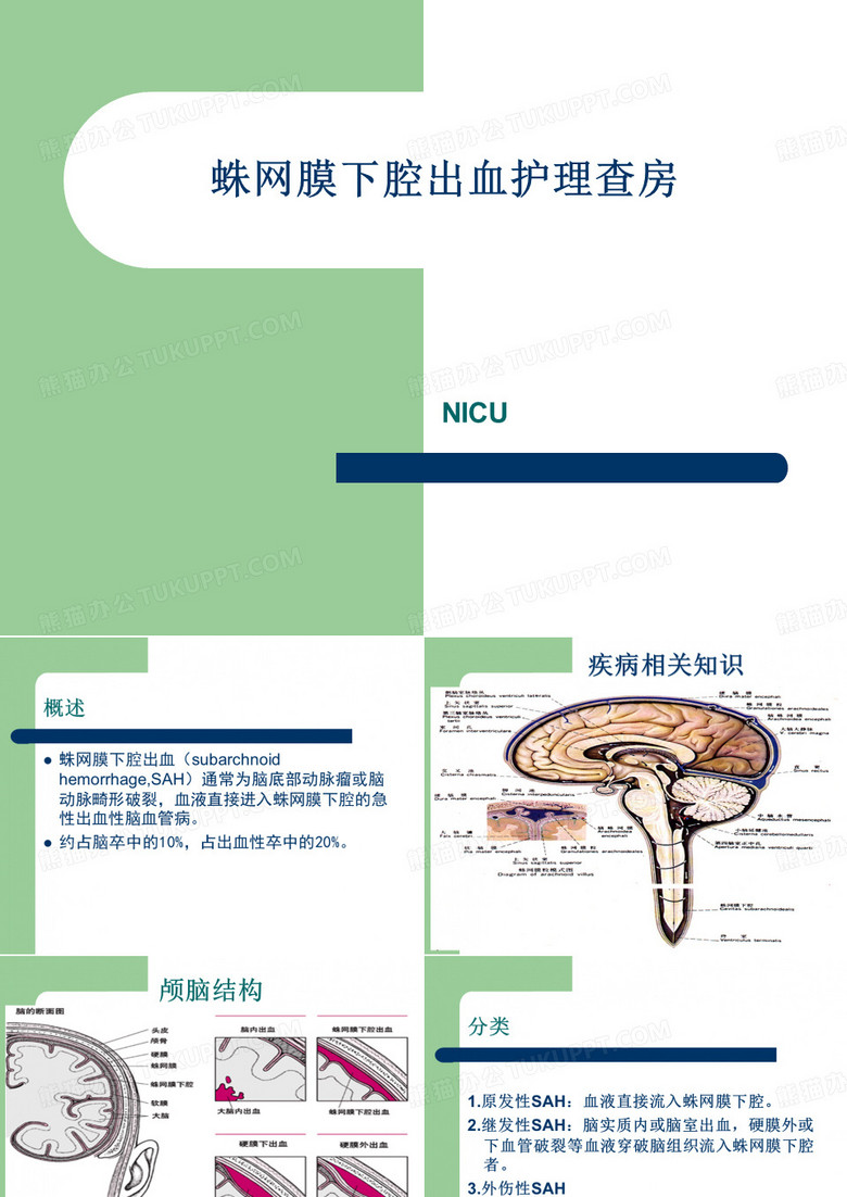 蛛网膜下腔出血护理查房