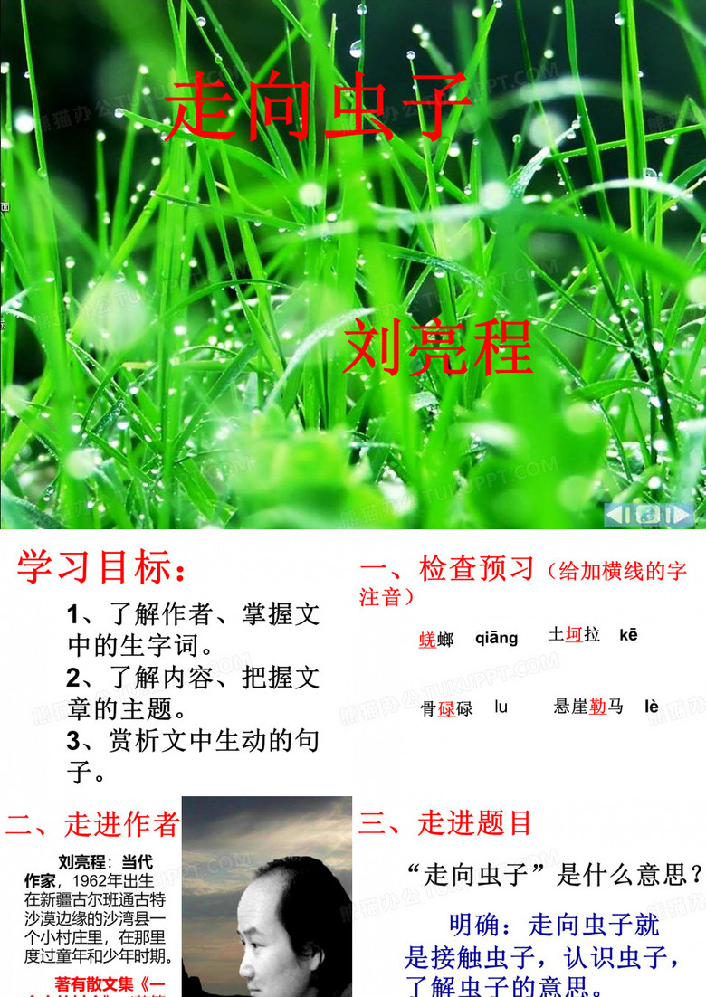 走向虫子