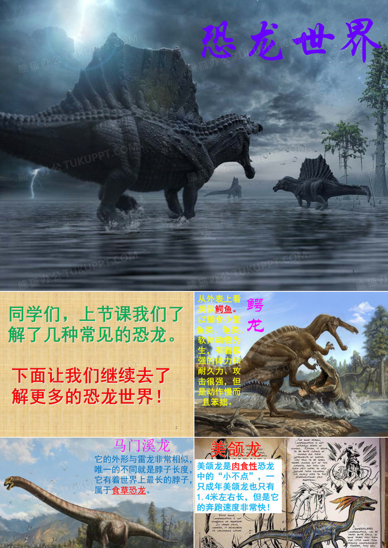 恐龙介绍(小学)PPT精选文档