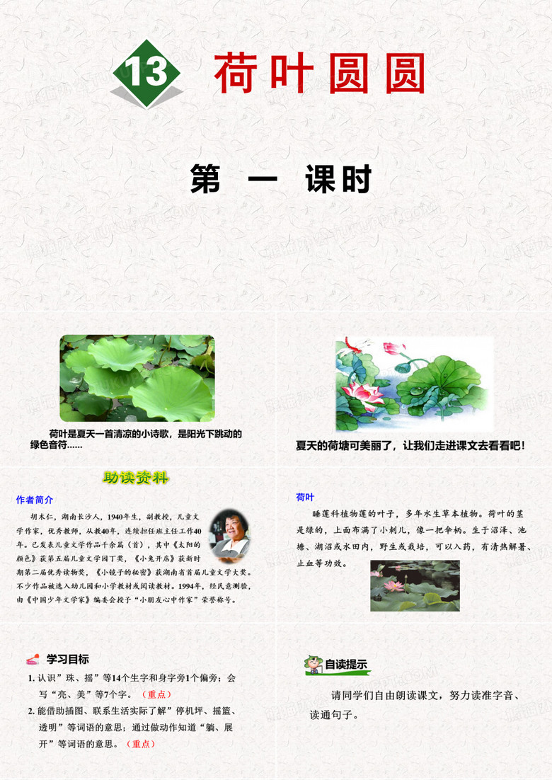 《荷叶圆圆》PPT